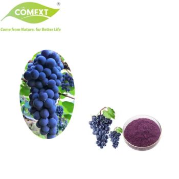 Comext Grape Fruit Powder Vitis Vinifera L Purple Red 25kg Drum Food Grade 1Y MOQ100 2Y Shelf - Changsha Comext Biotech Co., Ltd. - China