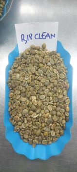 VIETNAM ROBUSTA COFFEE BEANS - INTIMEX XUANLOC - Vietnam