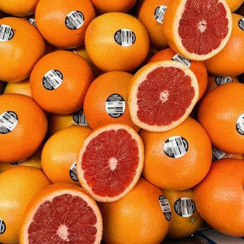 FRESH GRAPEFRUIT FOR SALE!! CLASS 1 EXPORT QUALITY GRAPEFRUIT NOW AVAILABLE FOR EXPORT – product photo, Fresh White Beans products found from trusted suppliers, wholesalers, manufacturers & exporters Listing