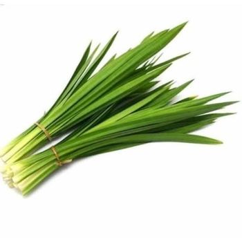 Organic Pandan leaves Delivery Form Bag - CV KANJENG KENCANA - Indonesia