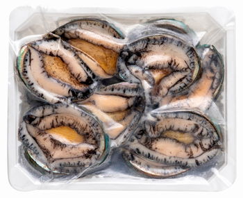 Frozen Abalone Frozen Seafood Wholesale Abalone with Shell Abalone -  DAEWKAEW PANTAMANG Co., Ltd - Thailand