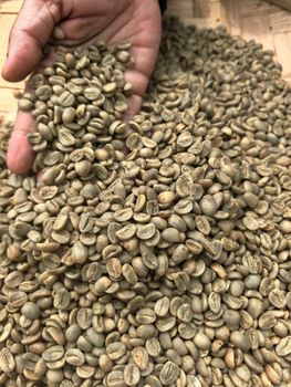 Arabic coffee Beans screen 16 to 18 – product photo, Arabic Coffee products found from trusted suppliers, wholesalers, manufacturers & exporters Listing