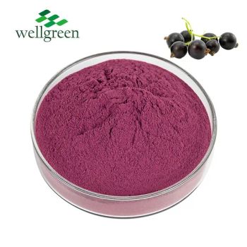 Dried Mix Natural Food Additive Fruit Lyophilized Freeze Blackcurrant Fruit Juice Powder - Wellgreen Technology Co., Ltd - China