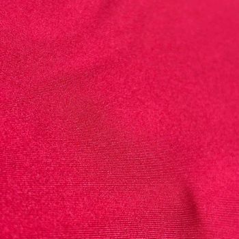 Shiny Nylon Spandex Lycra Tricot Fabric for Swimming Wear Trademark oem Style Plain Dyed HS Code 54075200 Weight - Zhejiang Hongli Group Co., Ltd. - China