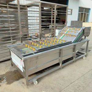 Automatic Vegetable Fruit Seafood Washing Machine Bubble Cleaning Machine - Zhucheng Mingfan Food Machinery Co., Ltd. - China