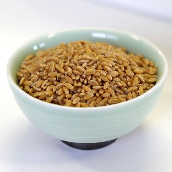 Natural Durum Wheat Carefully Selected For High Quality And Taste Rich And Nutritious Wheat For Bulk Supply - AGRO AFRIQUE COMPANY LIMITED - Tanzania