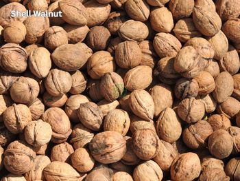 Kashmir Walnut | Shelled, Halves, Broken | India from Azagro Trading Kashmir Walnut | Shelled, Halves, Broken | India - Azagro Trading - India