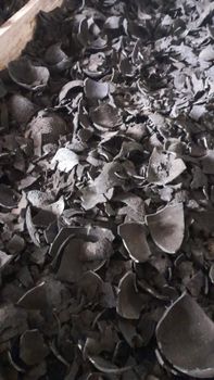 Coconut Shell Charcoal – product photo, Coconut Shell Charcoal Filter products found from trusted suppliers, wholesalers, manufacturers & exporters Listing