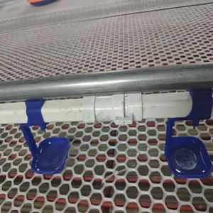 Livestock Drinking System Equipment Providing Durable Quality Automatic Operation Simple Cleaning Process and Reliable Results for Large Scale Farming - Qingdao Hi-hope Agricultural Technology Co., Ltd. - China