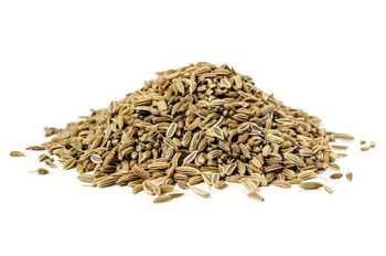 Fennel Seeds - Evergain - Egypt