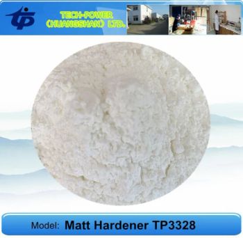 Outdoor Polyester Powder Coatings Additives Matting Agent Tp3328 - TECH-POWER (HUANGSHAN) LTD. - China