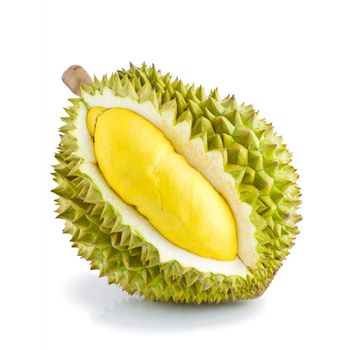 Natural Fresh Durian Fruits Farm Picked Rich Flavor Premium Grade Ready For Wholesale Distribution Worldwide from CPW TRADE LTD Natural Fresh Durian Fruits Farm Picked Rich Flavor Premium Grade Ready For Wholesale Distribution Worldwide - CPW TRADE LTD - United Kingdom