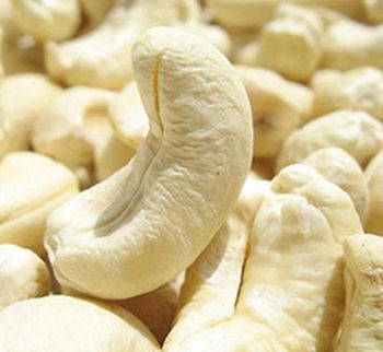 CASHEW KERNEL W180,W240,W320 AND W450 - Tanpotex Tanzania Ltd - Tanzania