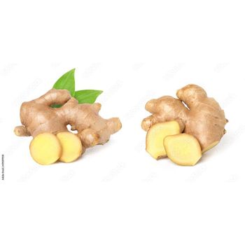 Wholesale organic fresh ginger for export fresh ginger supplier export bulk ginger - HIGHPROFILE AGRICULTURE SERVICES LIMITED - Tanzania