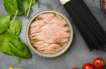 CANNED TUNA - okba global - Tunisia