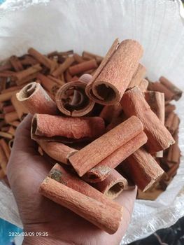 cinnamon stick - Nusa Moruun Trust - Indonesia