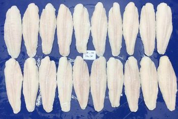 FROZEN PAGASIUS – product photo, Frozen Red Fish products found from trusted suppliers, wholesalers, manufacturers & exporters Listing