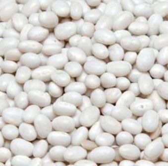 White Beans (Navy) – product photo, White Navy Beans products found from trusted suppliers, wholesalers, manufacturers & exporters Listing