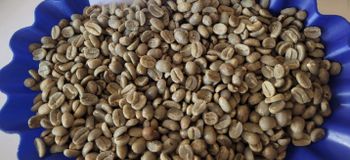 Coffee Beans – product photo, Green Beans Coffee products found from trusted suppliers, wholesalers, manufacturers & exporters Listing
