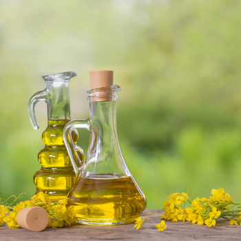 Fast Delivery Buy Wholesale Organic Pure Refined Rapeseed Canola Oil Crude Degummed Rapeseed Oil Premium Quality Oil - CPW TRADE LTD - United Kingdom