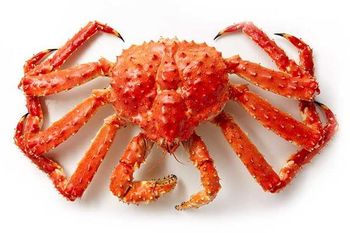 Good Quality Fresh,Frozen,Live Red King Crabs, Soft Shell Crabs - BF GLOBAL TRADING (PTY) LTD - South Africa