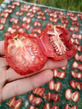 Sun Dried Tomatoes from Agronorth Sun Dried Tomatoes - Agronorth - Tunisia