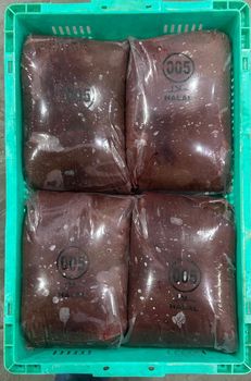 BUFFALO LIVER – product photo, Top Quality Products