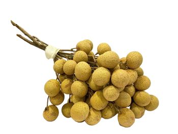 Fresh Logan – product photo, Fresh Orange Fruit products found from trusted suppliers, wholesalers, manufacturers & exporters Listing