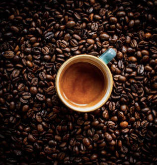 Quality Kopi luwak Coffee beans ( Civet coffee beans), Excelsa Coffee Beans, Maragogipe coffee beans for sale - Almaa SCS - Belgium