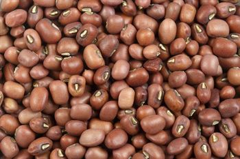 COWPEA Organic Yes Type cowpea Grade A grade Packaging 25kg Degree of Processing Dried Origin Other, South Africa Packaging Size > 5 kg to 10 kg -  JAC SEEDS & OIL TRADING (PTY) LTD - South Africa