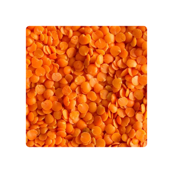 Wholesale Price Canadian Red Lentils / Split Red Lentils Available for Sale at Low Price, Fresh Red Lentil for Europe Bulk - GAJERA EXPORT - India
