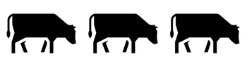 Product - CENTRAL SLAUGHTERHOUSE JOINT STOCK COMPANY - Global