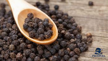 Black Pepper – product photo, Dehydrated Black Pepper products found from trusted suppliers, wholesalers, manufacturers & exporters Listing