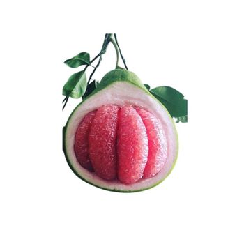 Tubtim Siam Pomelo - Thaiwaysinternational(Thailand)Co.,Ltd - Thailand