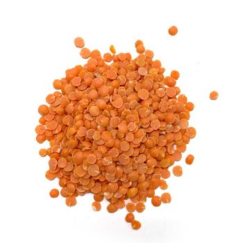 Carefully Selected Organic Style Dried Red Lentils Whole Form With Natural Quality Processing And Bulk Packing - malter group - Tanzania