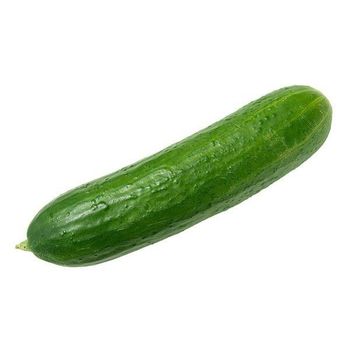 High Quality fresh cucumber green cucumber available for export - afrivett@gmail.com - South Africa