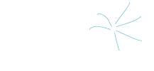 Product – product photo, Dried Plant Decorations products found from trusted suppliers, wholesalers, manufacturers & exporters Listing