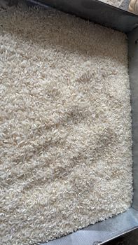 IR 64 White Rice Long Grain 5% Broken from ATTRI NEXUS LLP IR 64 White Rice Long Grain 5% Broken - ATTRI NEXUS LLP - India