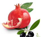 Product – product photo, Mango Juice Concentrate products found from trusted suppliers, wholesalers, manufacturers & exporters Listing