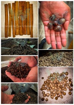 Spices Origin Indonesia Texture Granular Ingredients Tapioca, Mocaf Form Briquettes, Flour-based Products Flavor Cinnamon, Star Anise, Black Pepper, White - Wigeri Cantria International - Indonesia