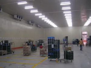 Prefab Cold Rooms Small Cold Room Cold Storage Cool Chamber - Shanghai Champion Refrigeration Machinery Co., Ltd. - China