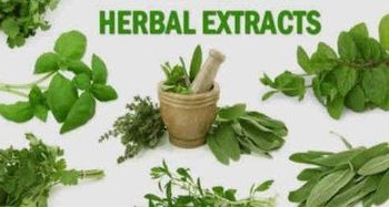 HERBAL EXTRACTS - Amatis - Iran