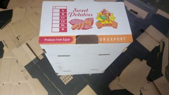Sweet potatoes - AL-SEDIK FOR FRUITS AND VEGETABLE EXPORT AND TRADING - Egypt