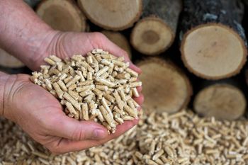 Quick Buy High Quality Wood Pellets Wood Pellets 15kg Bags biomass pellet - Leta Trading sprl - Poland