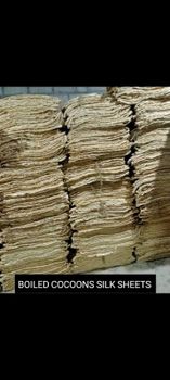 Mulberry silk sheet from RF GLOBAL INTERNATIONAL Mulberry silk sheet - RF GLOBAL INTERNATIONAL - India