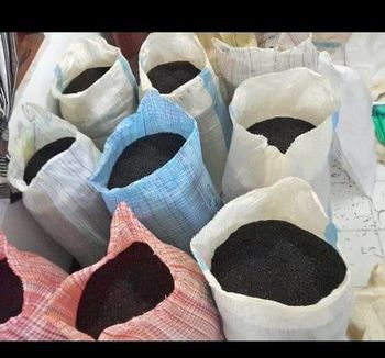 black pepper - Rayatty imports and exports private limited - Sri Lanka