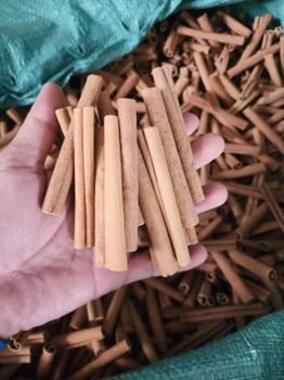 Cassia cinnamon sticks - TBESTPRO TRADING INVESTMENT COMPANY LIMITED - Vietnam