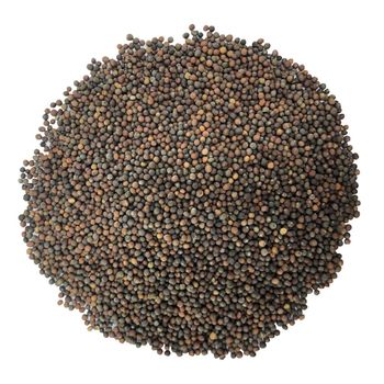 Kale Seeds for Sprouting - Njang Investments Limited - Kenya