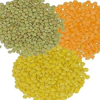 Organic Green Lentils Natural Whole Lentils for Stews Soups and Cooking Affordable Bulk Wholesale Packages - A.C.P. AGRICULTURE COMPANY LIMITED - Thailand