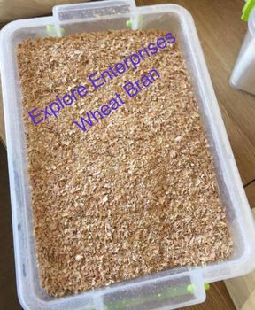 Wheat Bran - EXPLORE ENTERPRISES - Pakistan